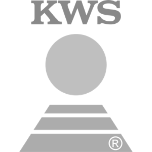 brand-image